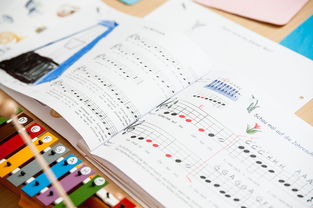 开云官方网页登录-中小学体育健康促进政策执行情况分析，中小学加强体育