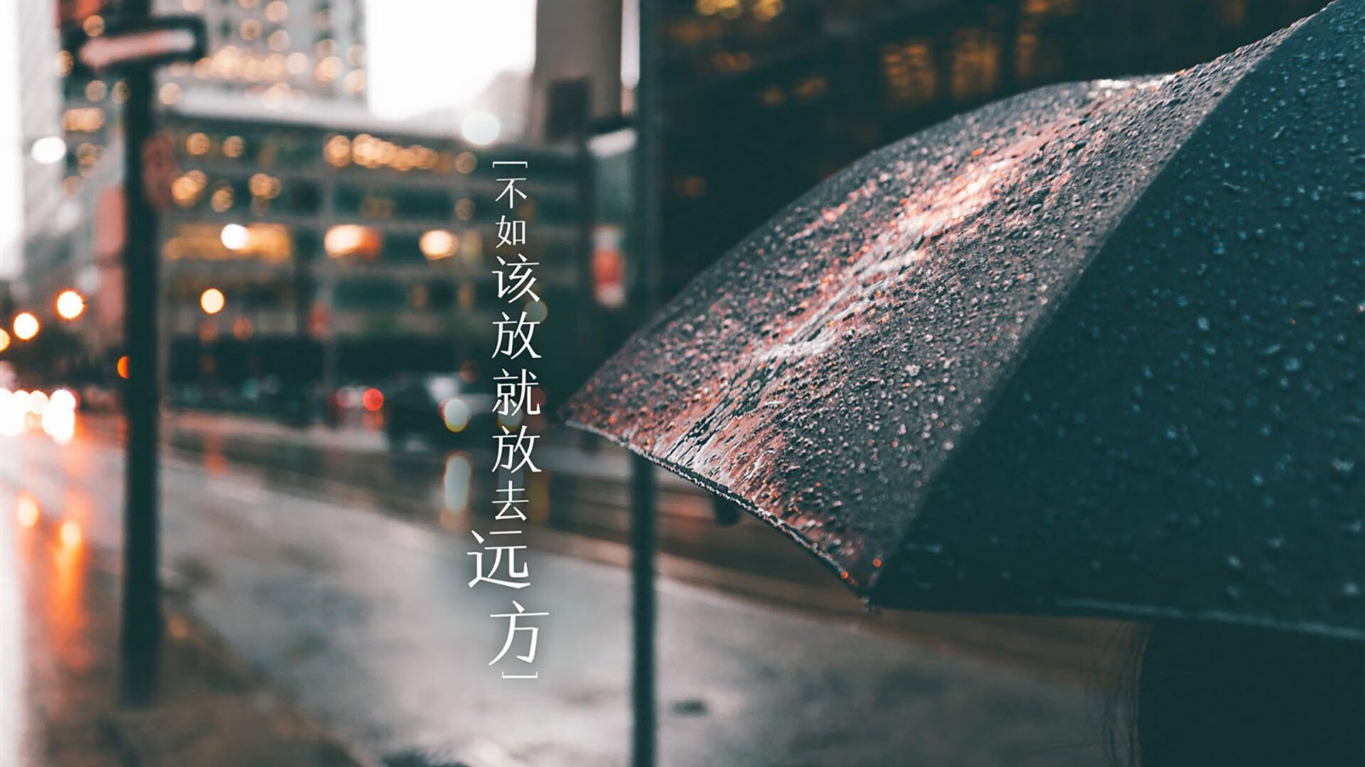 Kaiyun APP-中小学体育场馆利用率及优化策略研究，体育场馆利用率低