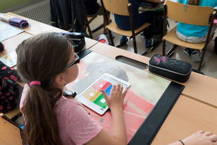 kaiyun登录入口-中小学体育安全教育实施效果评估研究，中小学体育评估体系