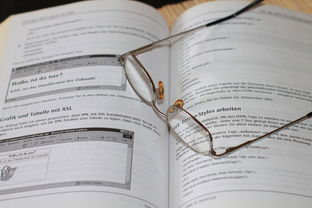 kaiyun登录入口-中小学体育安全教育实施效果评估研究，中小学体育评估体系