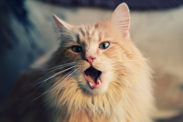 Kaiyun官方登录入口-CBA球队提升高压对抗处理能力 第3张 Kaiyun官方登录入口-CBA球队提升高压对抗处理能力 第3张