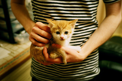 KAIYUN 中国大陆-Cole Palmer决赛表现惊艳,未来巨星可期,2020coe冠军 第3张 KAIYUN 中国大陆-Cole Palmer决赛表现惊艳,未来巨星可期,2020coe冠军 第3张