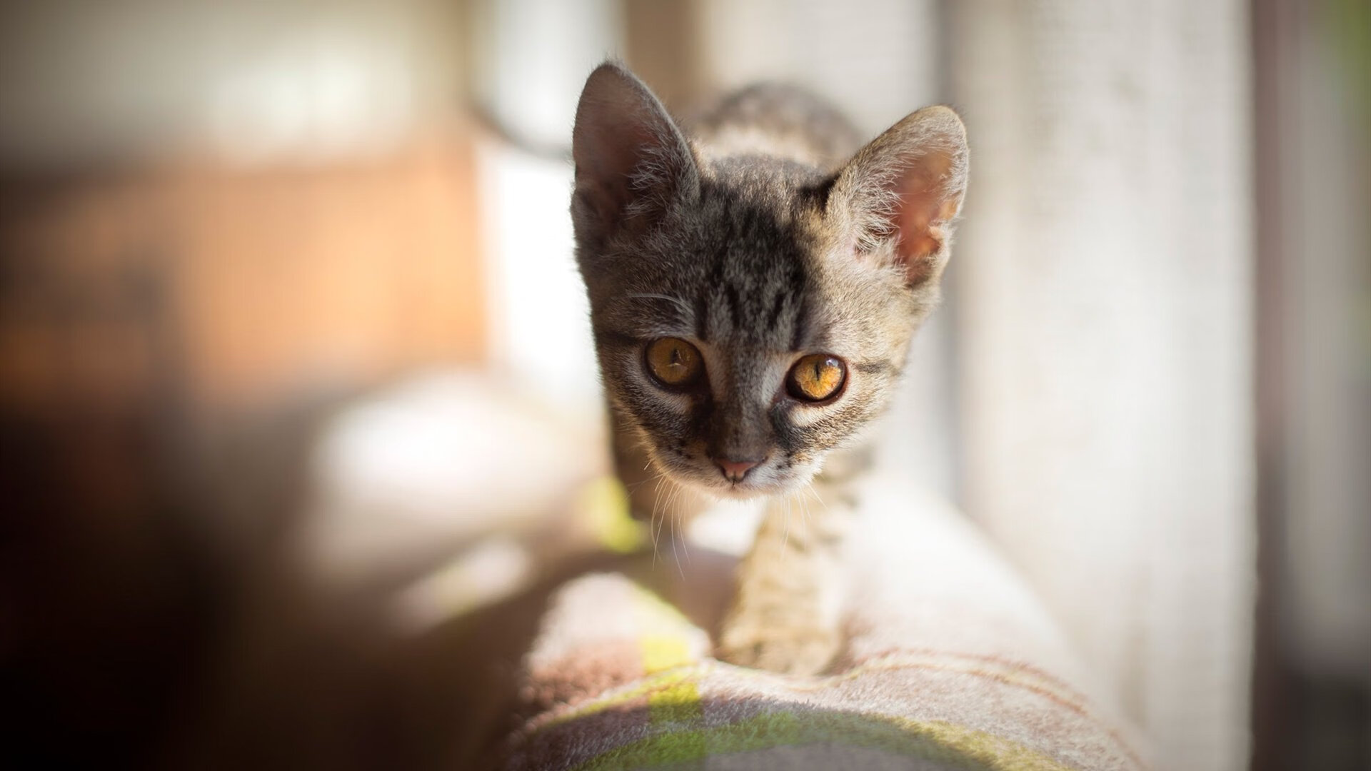 kaiyun体育综合-PSG防线漏洞被切尔西前锋多次利用，切尔西后防线  第3张