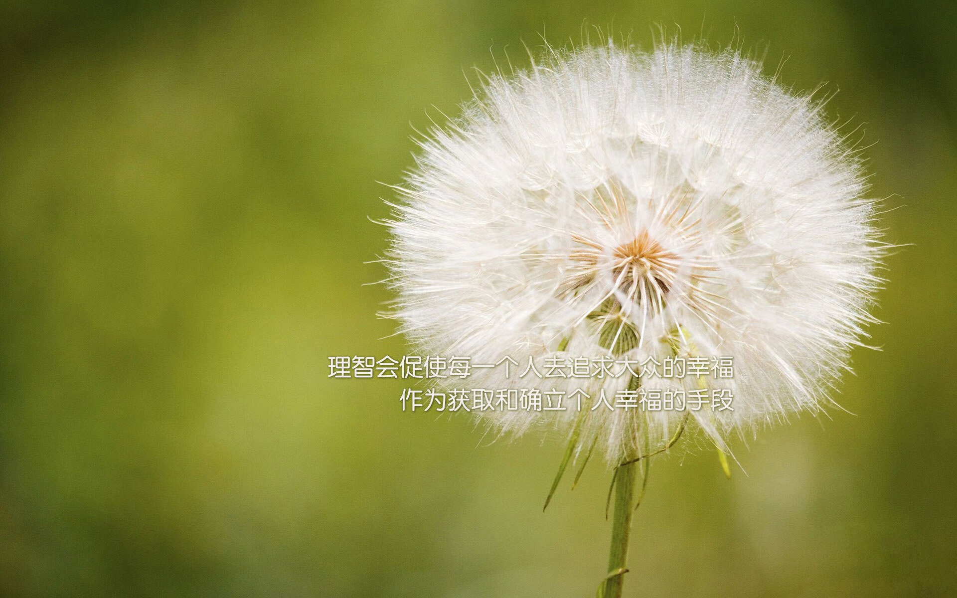 kaiyun体育综合-“快艇冲浪：速度、力量与技术的融合，马鞍山赛场极限对决”