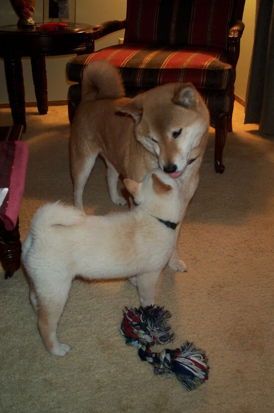 开云·体育官网APP下载-伤病名单引发球队紧急调整,球员伤病图 第1张 开云·体育官网APP下载-伤病名单引发球队紧急调整,球员伤病图 第1张