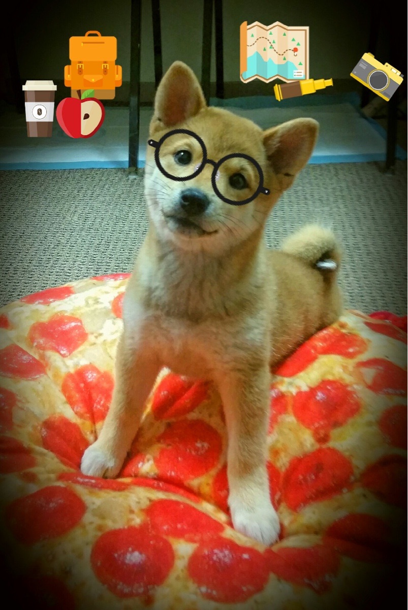 开云官方网站-后程冲刺爆发力增强，后程怎么提高