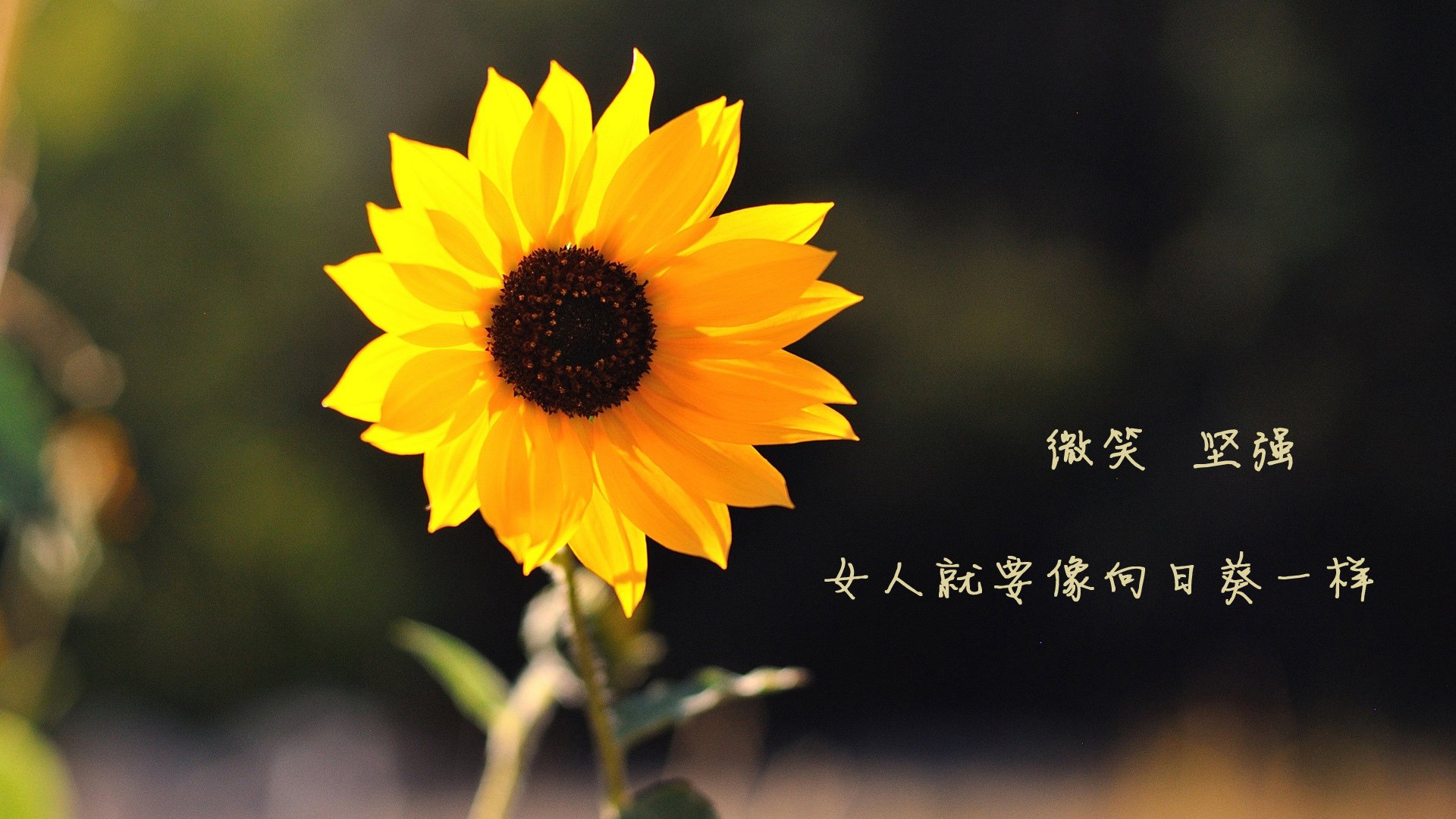 Kaiyun官方登录入口-奥运赛场食品安全保障方案正式发布，日本奥运会食品安全