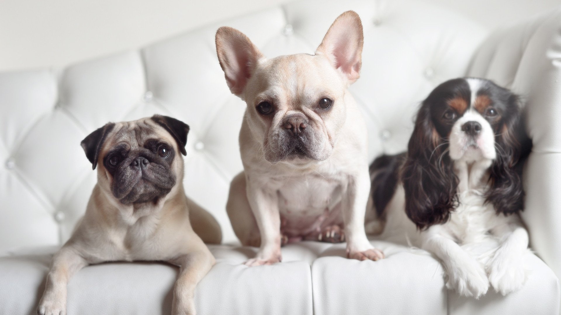 kaiyun中国官方网站-德国队在2024年混合团体世界杯中的重要胜利，德国国家队世界杯