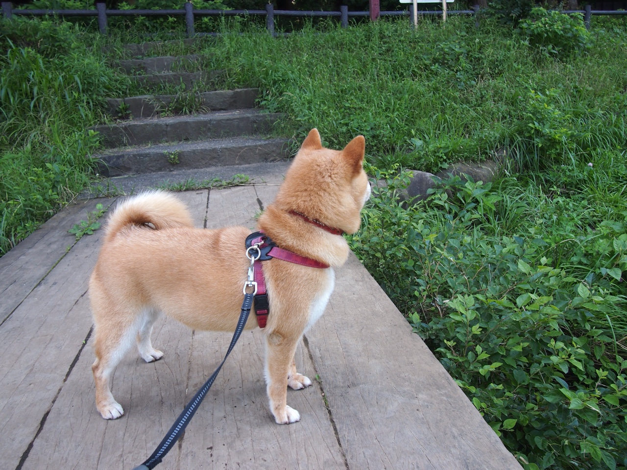 kaiyun登录入口-花样滑冰演出尝试沉浸式剧场模式，花样滑冰场景