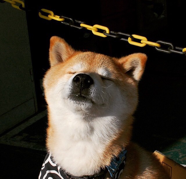 开云·体育官网-乌拉圭男篮在南美锦标赛中持续强势，创造新纪录