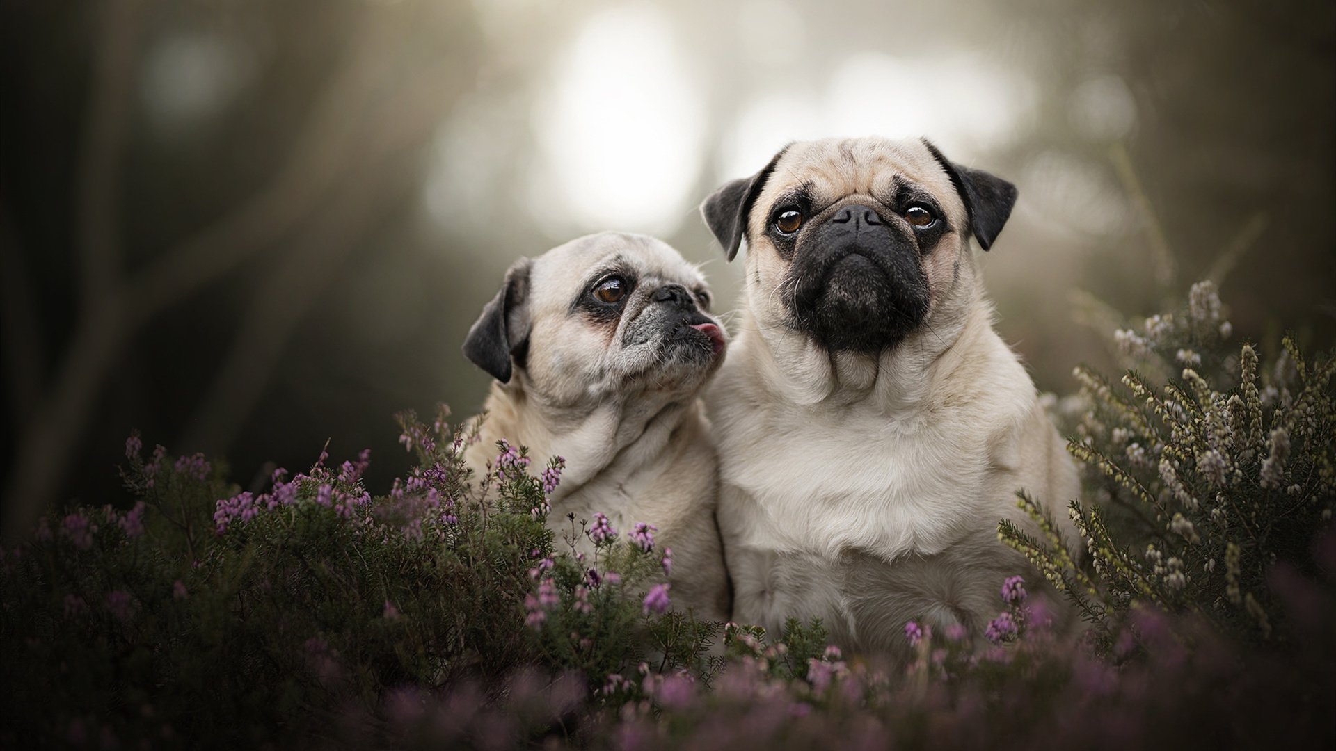 kaiyun中国官方网站-库里强势复出勇士西部格局大变,库里复出首战