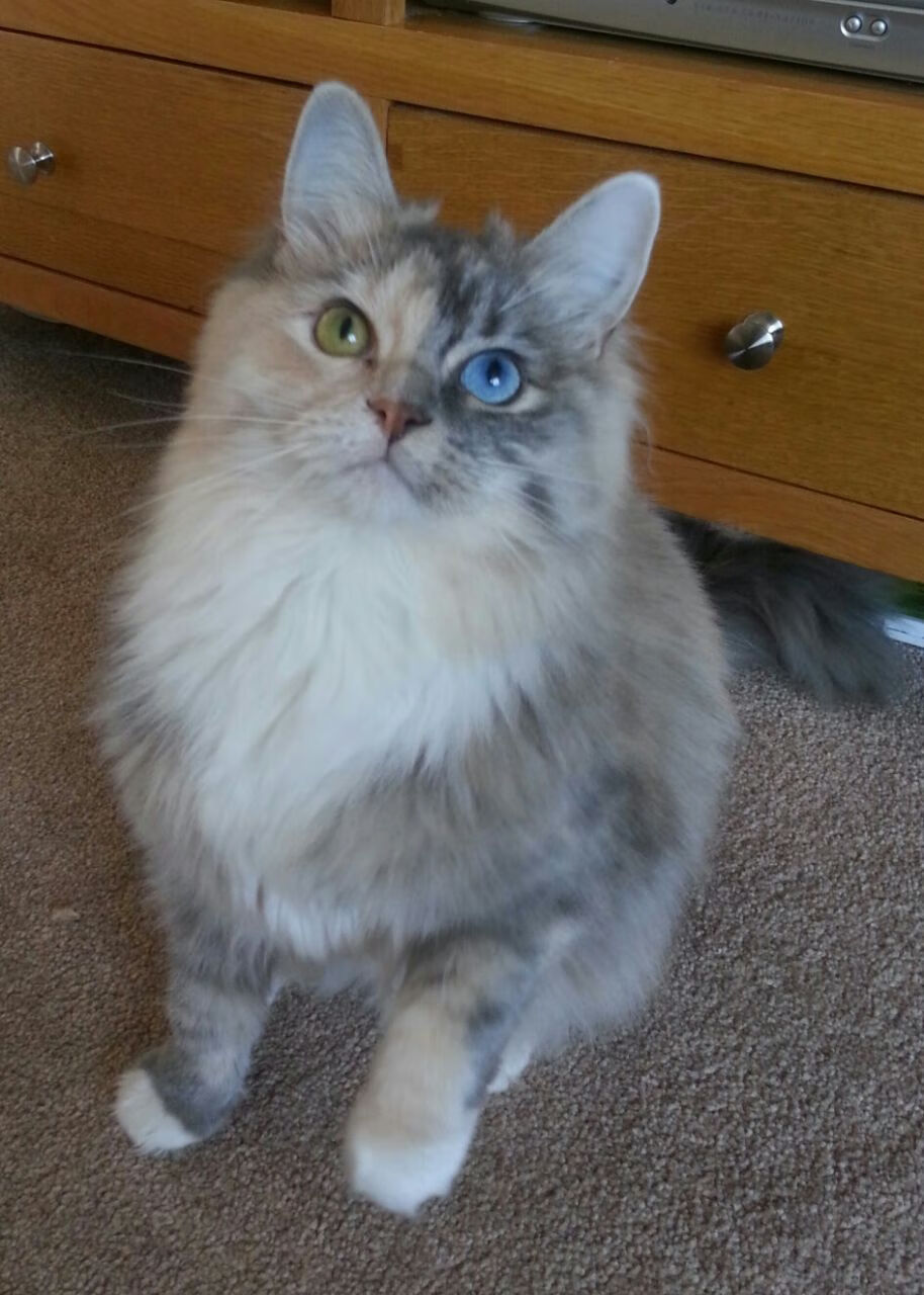 kaiyun体育app-意甲豪门争锋:火花四溅的战局,意甲七大豪门俱乐部