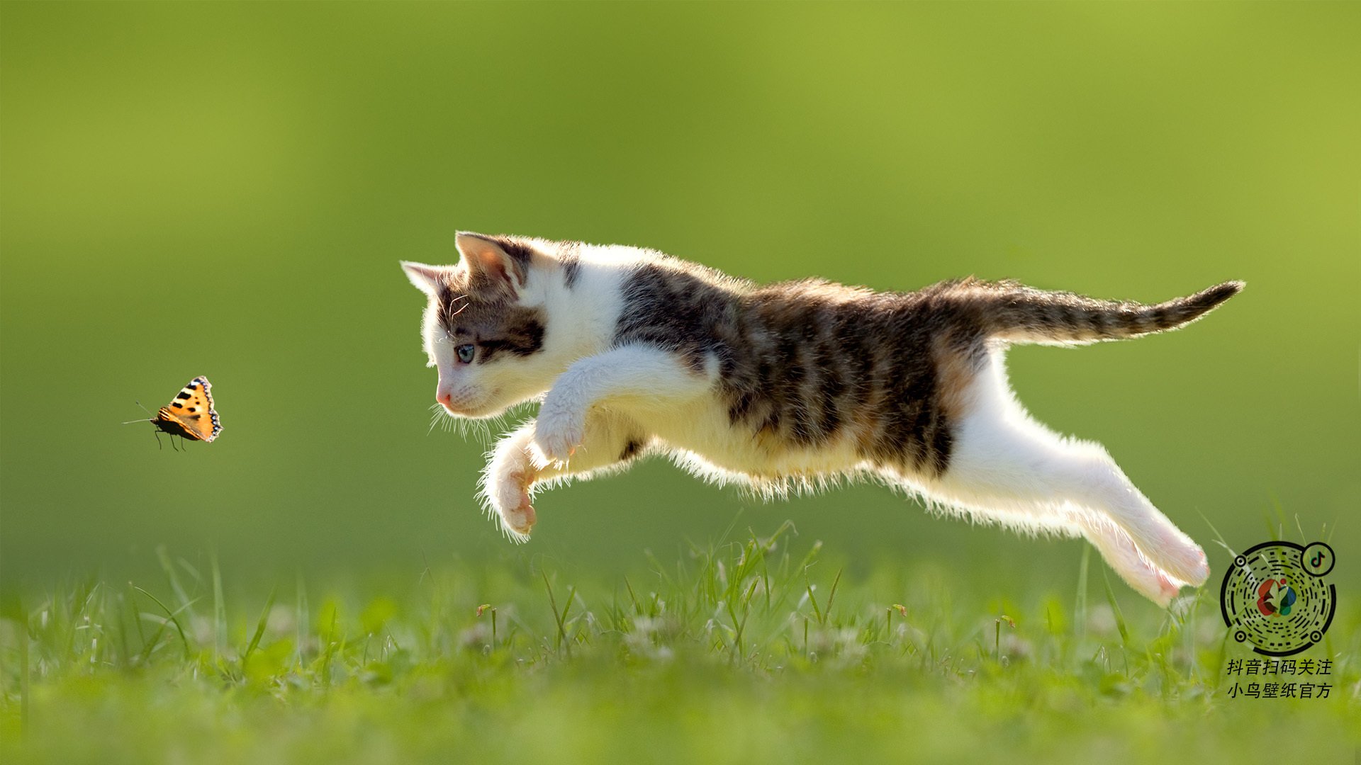 Kaiyun APP-欧洲杯决赛瞬间:战术排名的终极比拼,欧洲杯赛程2021决赛队伍