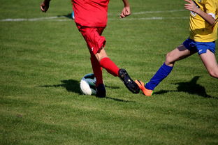 开云官方-男篮国家队专项安排外线射手训练增强火力输出,男篮外援