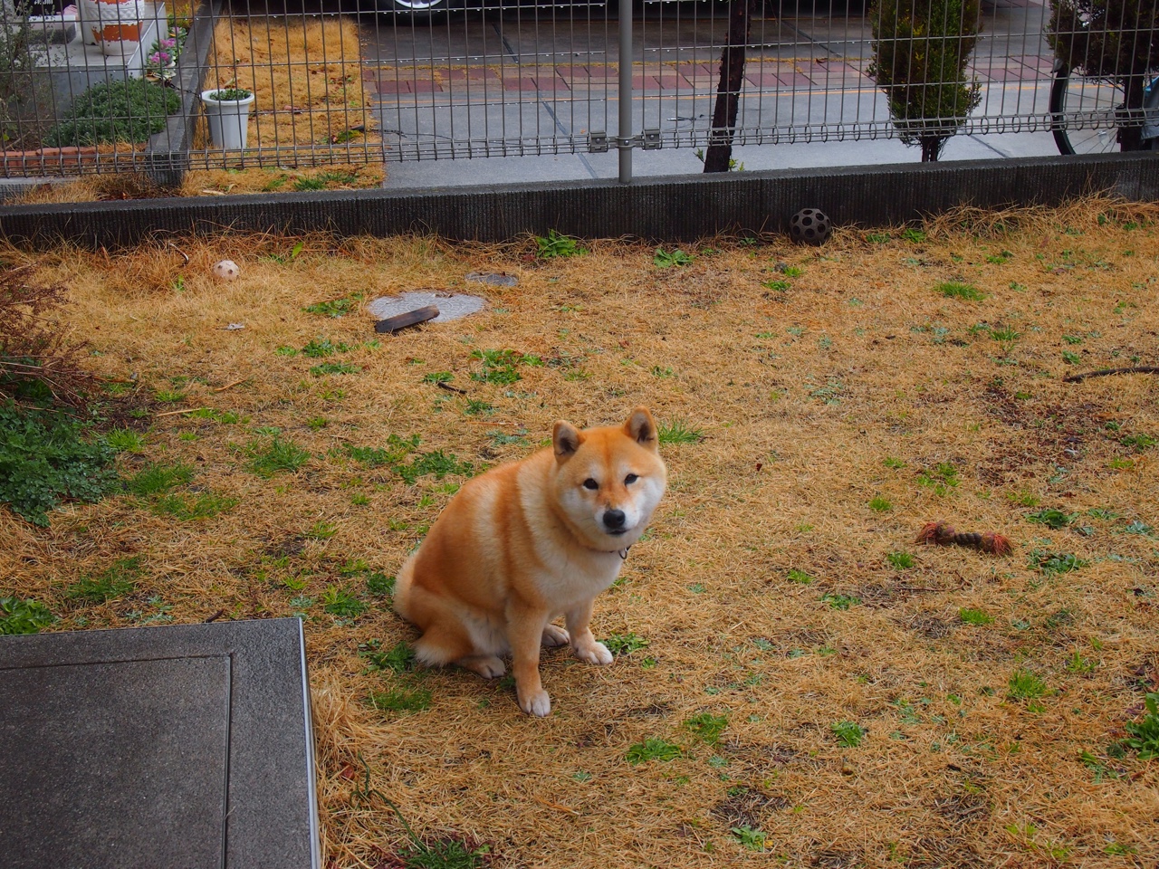 kaiyun中国官方网站-1.1亿元退款背后,是谁在为问题充电宝买单?,充电宝退款在哪里 第3张 kaiyun中国官方网站-1.1亿元退款背后,是谁在为问题充电宝买单?,充电宝退款在哪里 第3张