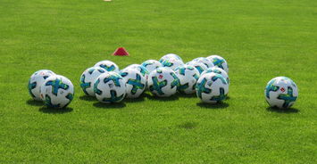 开云官网APP下载-中国足球俱乐部拓展职业俱乐部与高校合作路径，2021年足球俱乐部招生